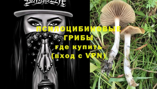 сатива Верея