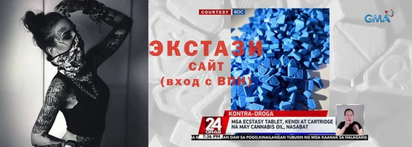 сатива Верея