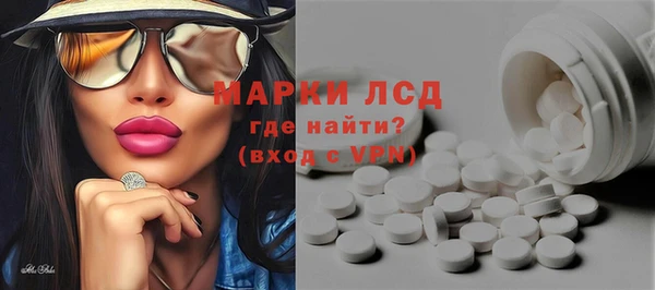 сатива Верея