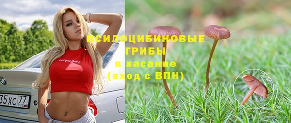 сатива Верея