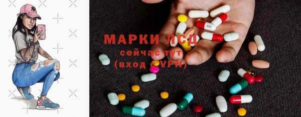 сатива Верея