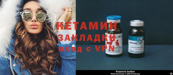 сатива Верея