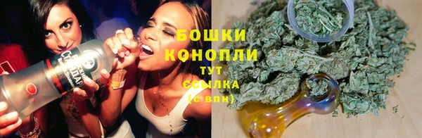 сатива Верея