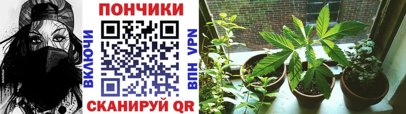 Каннабис Bruce Banner  Карабаш 